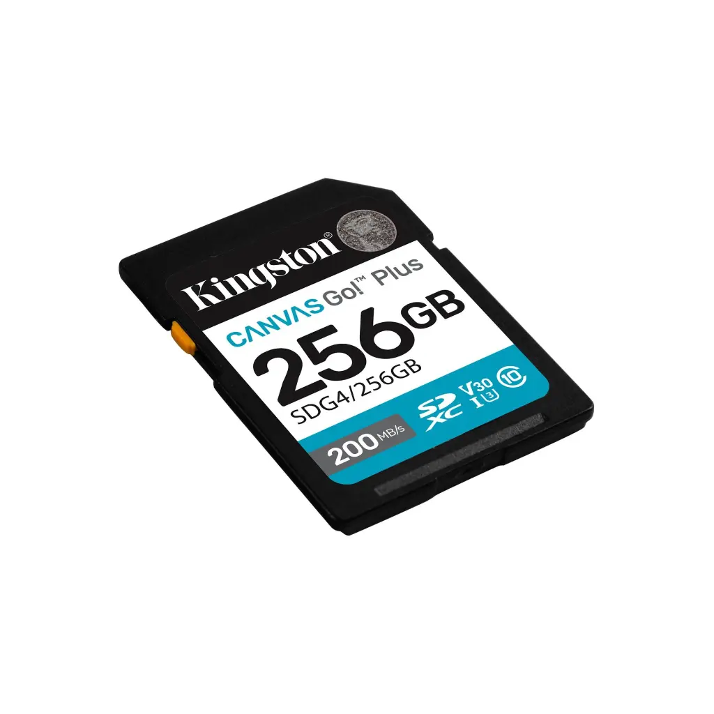 kingston sdg4 256gb 2.0 (1).webp