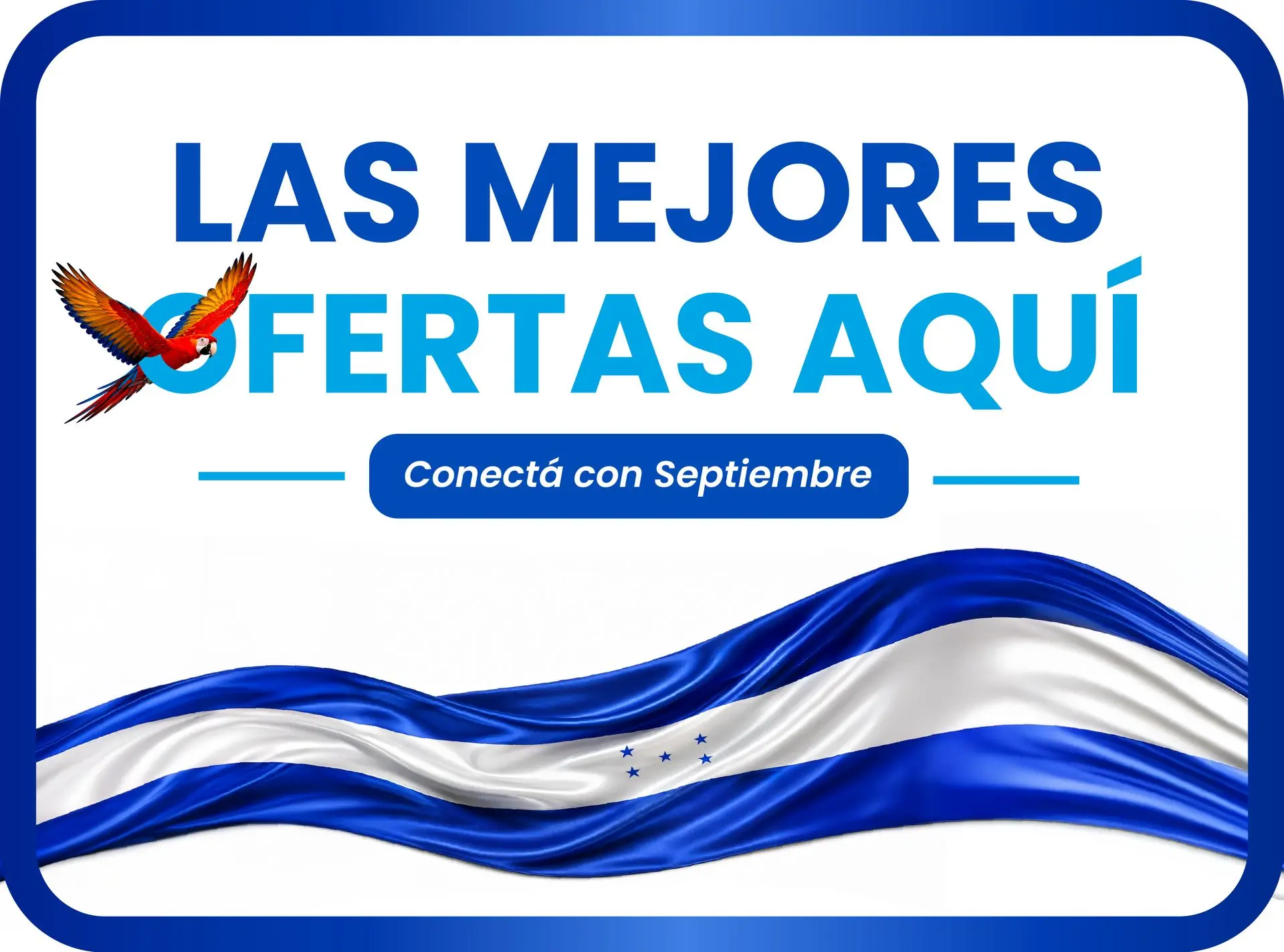 Las mejores ofertas aquí