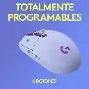 6.webp