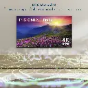 NS-55F501NA26 0.8.webp