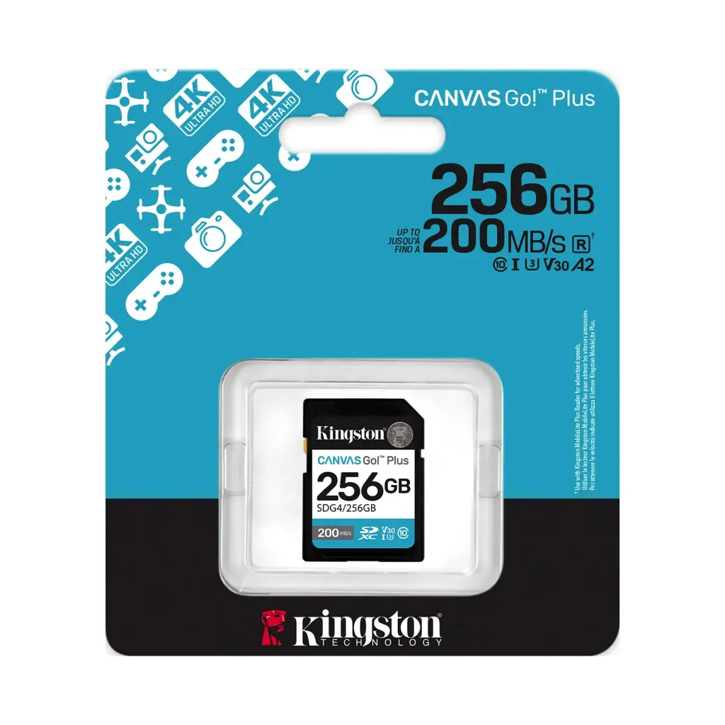 kingston sdg4 256gb 2.0.webp