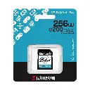 kingston sdg4 256gb 2.0.webp