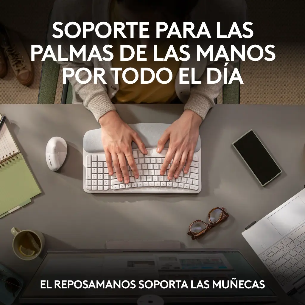 4.webp