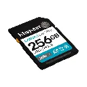 Kingston Canvas Go! Plus Class 10 SDG4256GB 2. (1).webp
