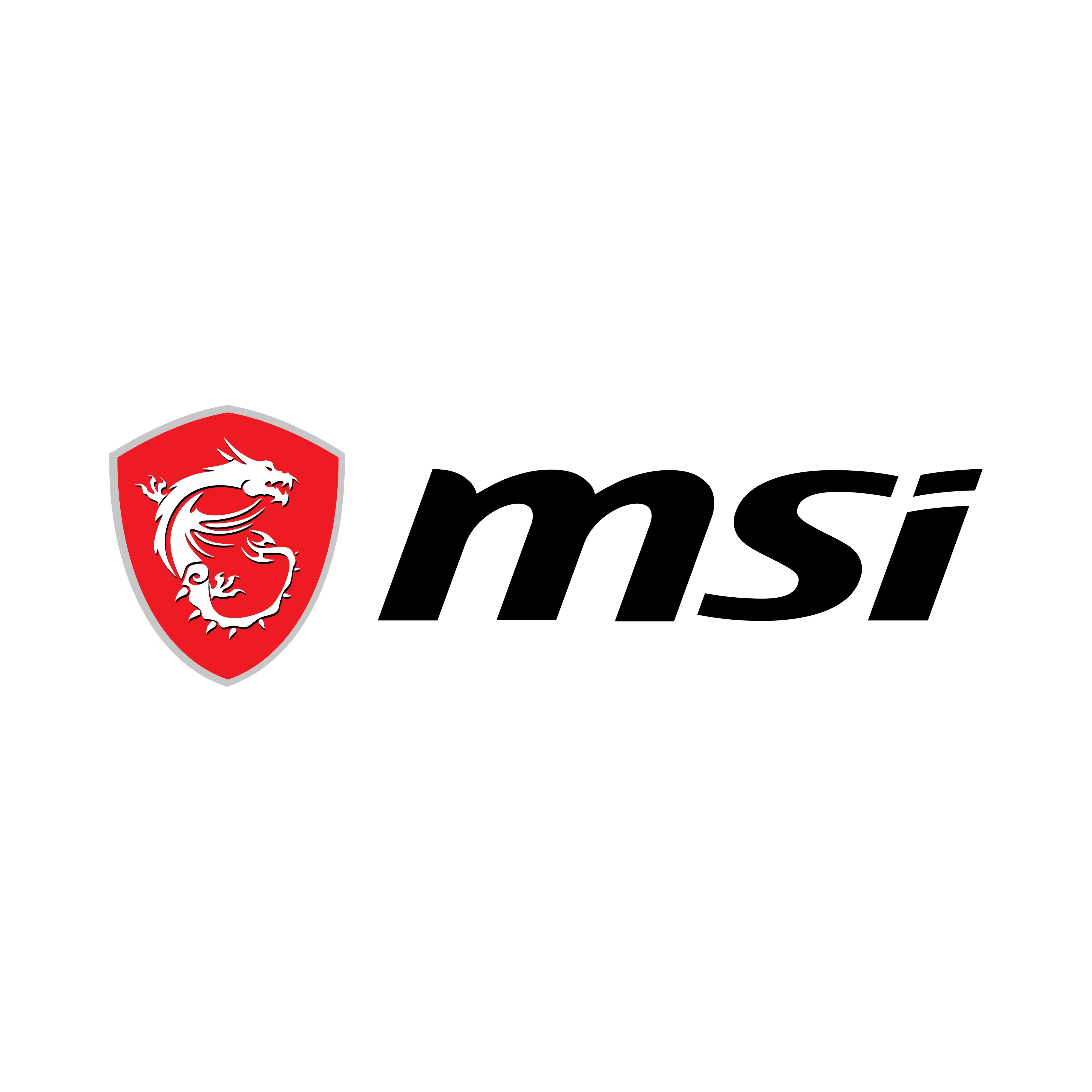 MSI