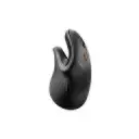 Mouse Inalambrico ProtoArc Ergonomic EM11 NL Negro